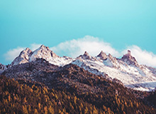 杨瀚森：希望借NBA新春贺岁活动分享我们的文化